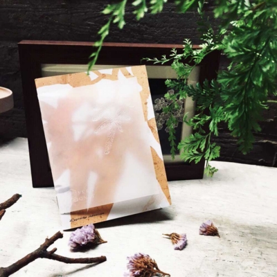 只有蕨 ◆ 蕨美筆記本〈2款〉 只有蕨 ◆ 蕨美筆記本〈2款〉