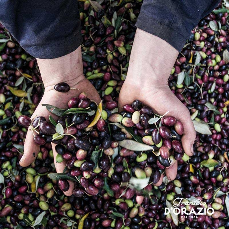 D'ORAZIO ◆ 特級初榨橄欖油500ml/風情地中海