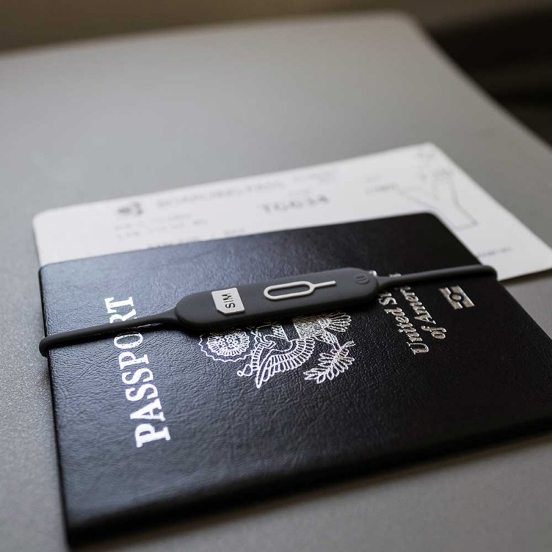 立物創意 ◆ LT  SIM卡收納線