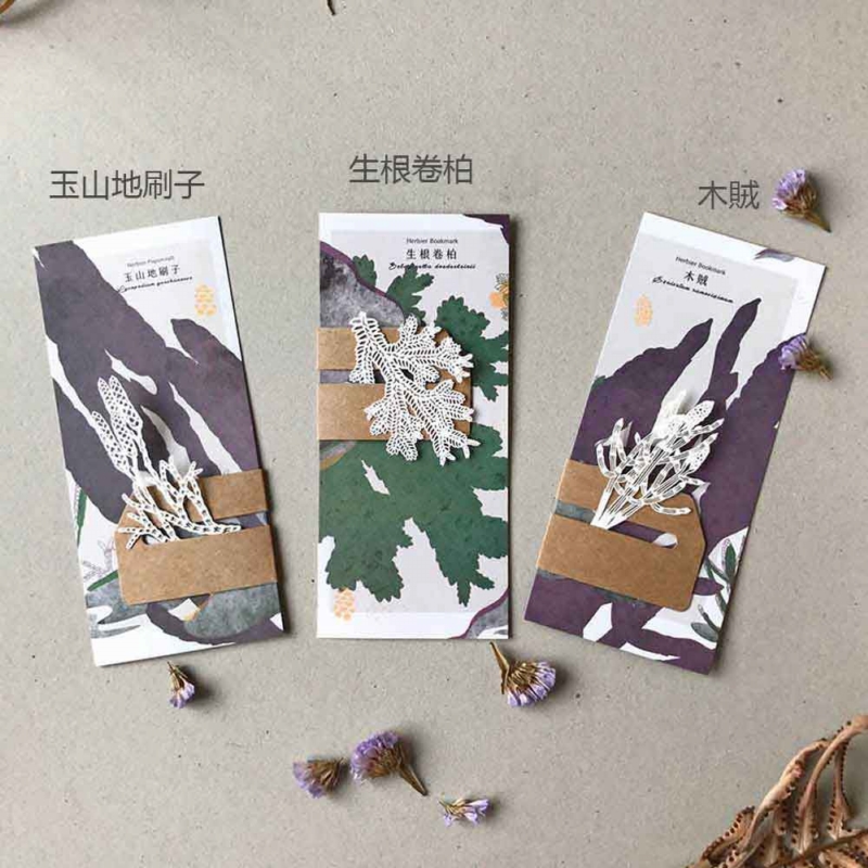 只有蕨 ◆ 蕨類標本紙雕〈12款〉