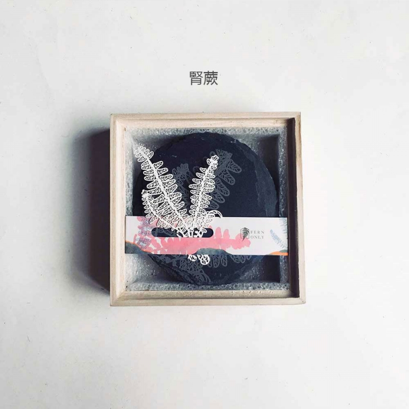 只有蕨 ◆ 蕨類化石石皿〈6款〉