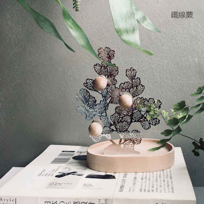 只有蕨 ◆ 蕨對置物掛架〈3款〉