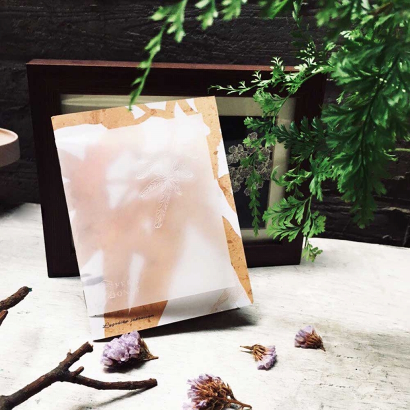 只有蕨 ◆ 蕨美筆記本〈2款〉