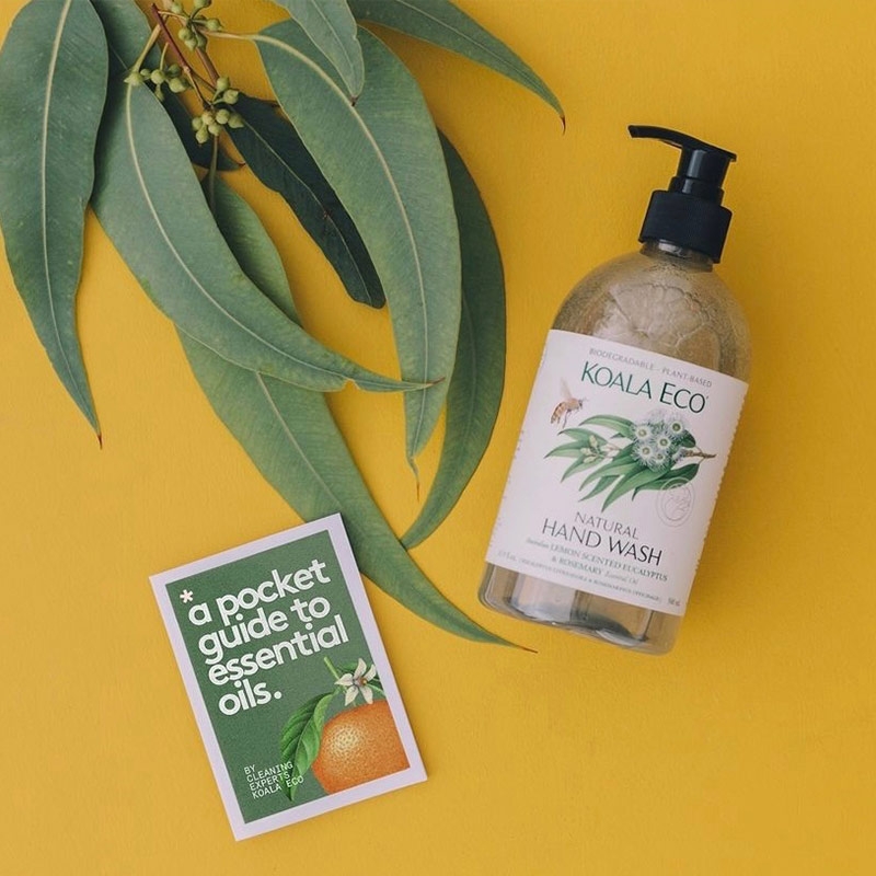 澳洲 Koala Eco｜【防疫必備 l 護潤洗手露】沼澤茶樹＆薄荷/檸檬尤加利&迷迭香 (2款)