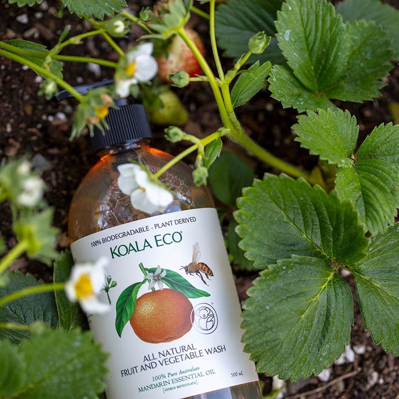 澳洲 Koala Eco｜【安心飲食清潔】二入組禮盒─天然蔬果洗潔露&光澤洗碗精